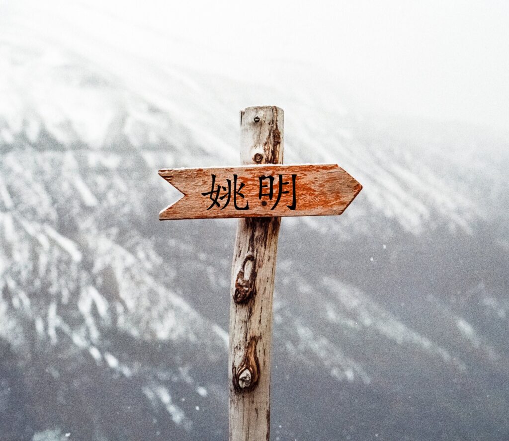 The Best Translator Devices sign board 